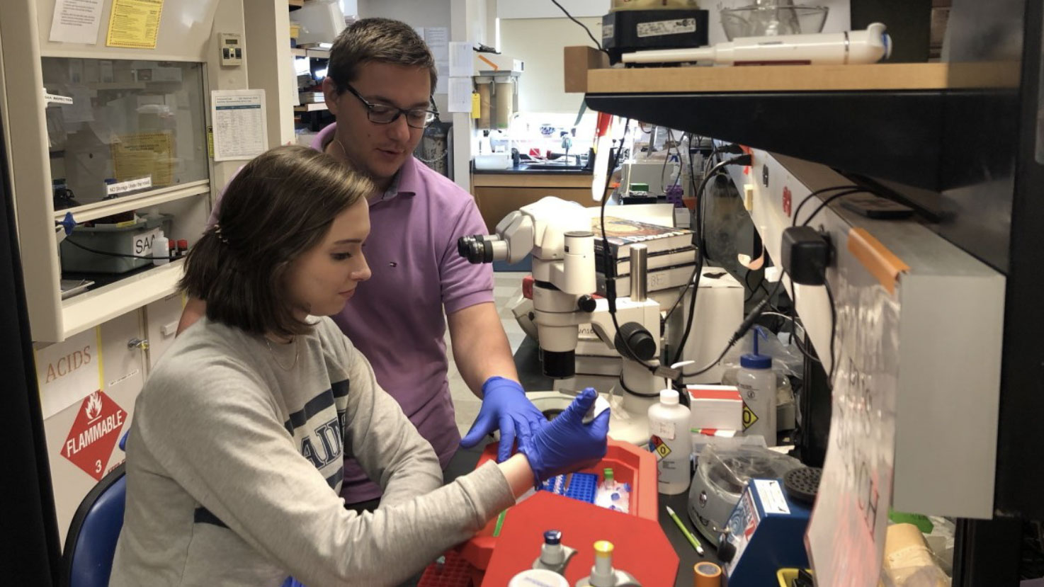 Student and mentor working with samples in a lab