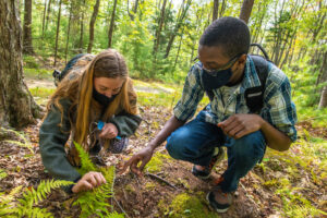 Two students studying plants in woods