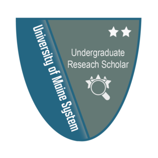 University of Maine Undergraduate Research Scholar Badge Level 2