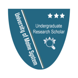 University of Maine Undergraduate Research Scholar Badge Level 3