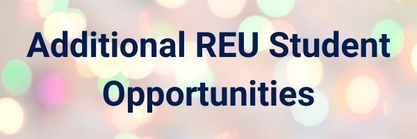 Additional REU Student Opportunities