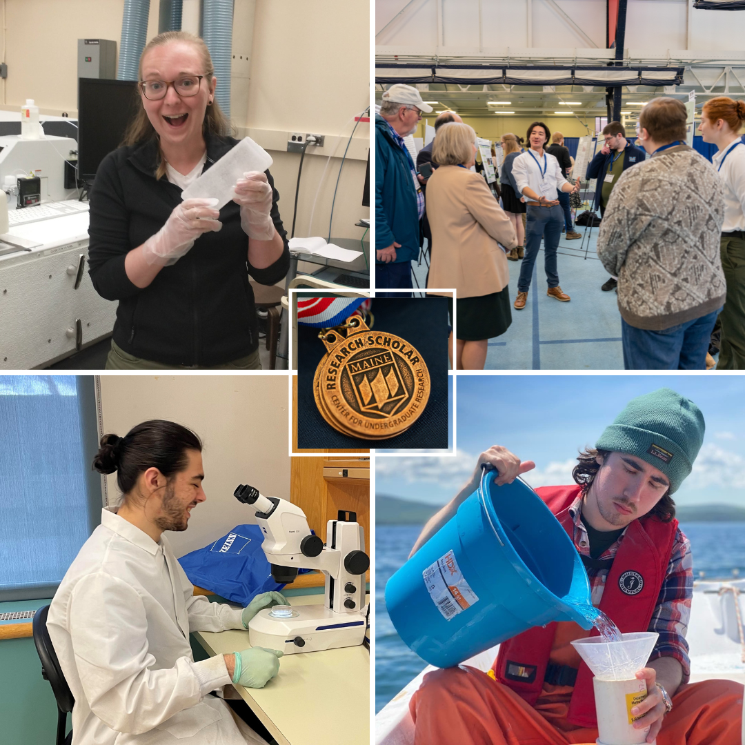 Photo collage of student researchers in their labs, in the field, and presenting at the UMaine Student Symposium