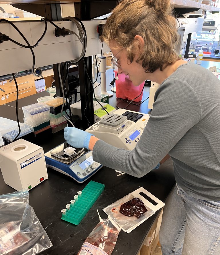 Marina McManus carefully dropping samples into a dish inside the lab.